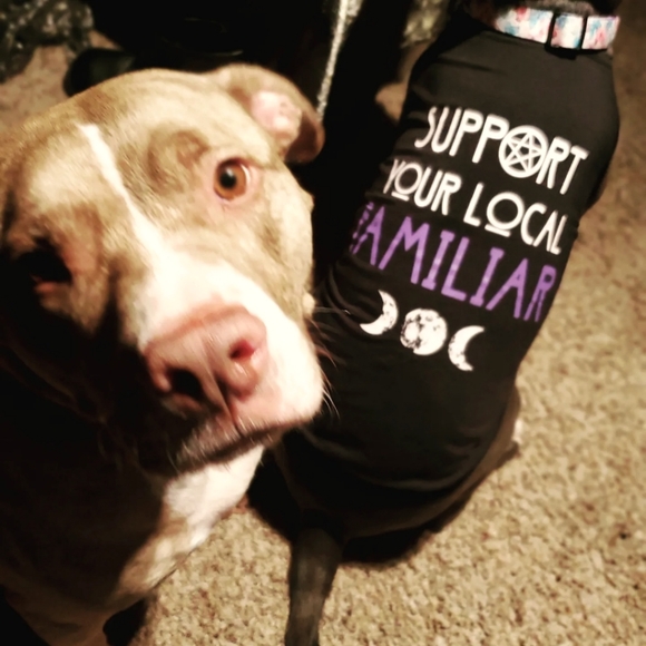 Meet your Posher, Victoria - Picture 1 of 1